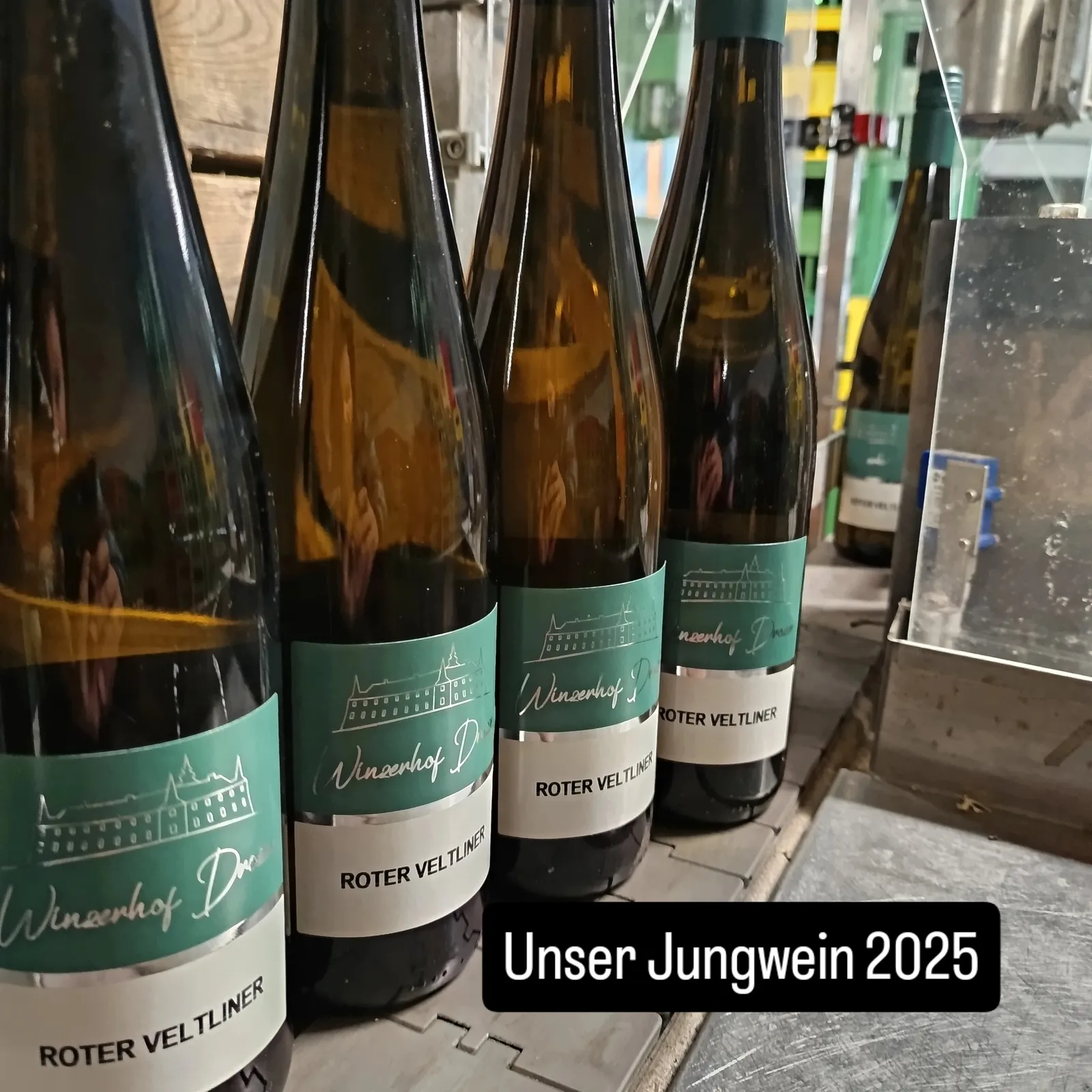 Flaschen Roter Veltliner auf der Füllanlage